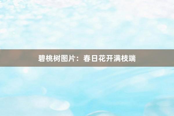 碧桃树图片：春日花开满枝端